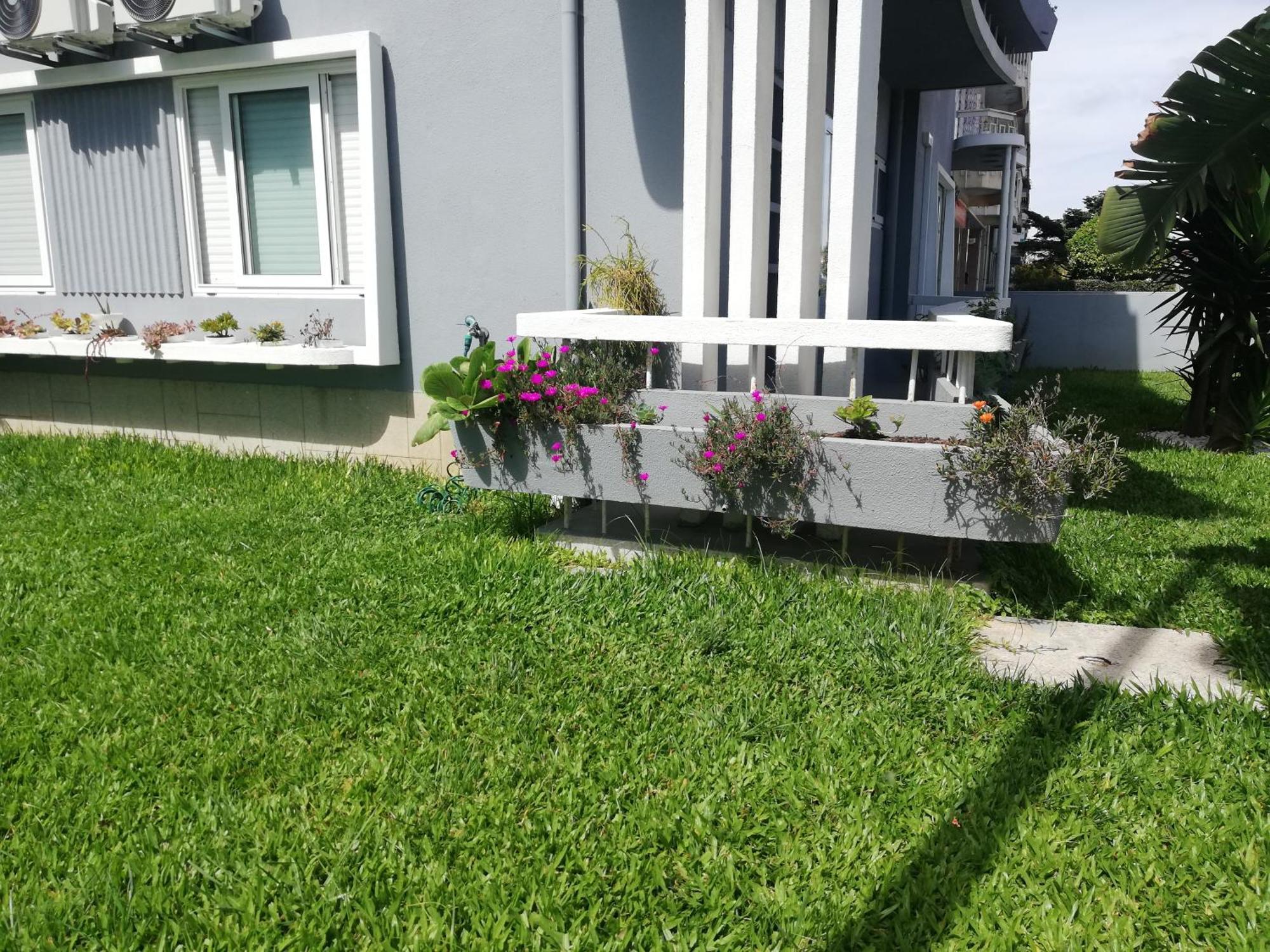 Buddies Charm House Aveiro Ngoại thất bức ảnh