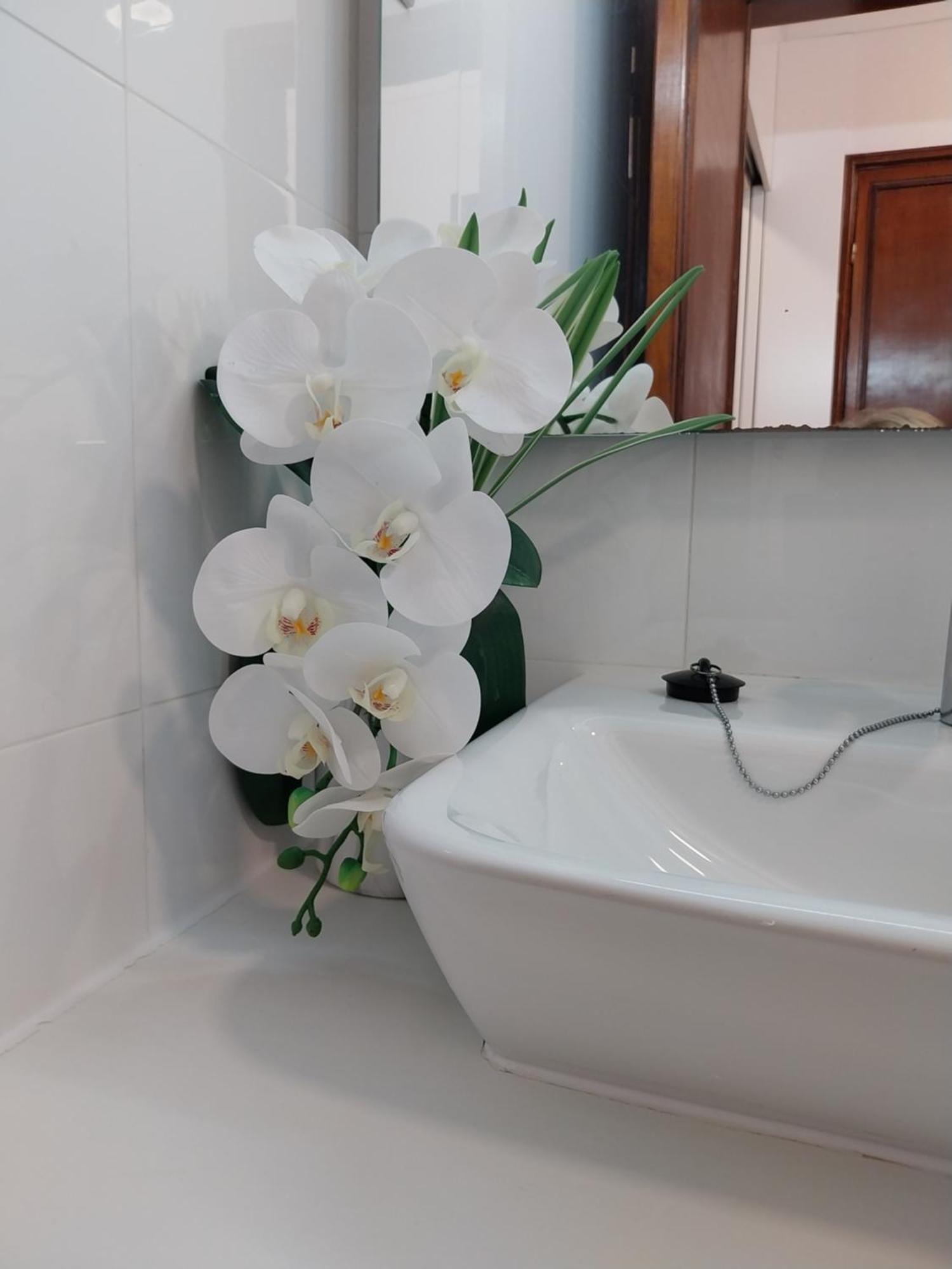 Buddies Charm House Aveiro Ngoại thất bức ảnh
